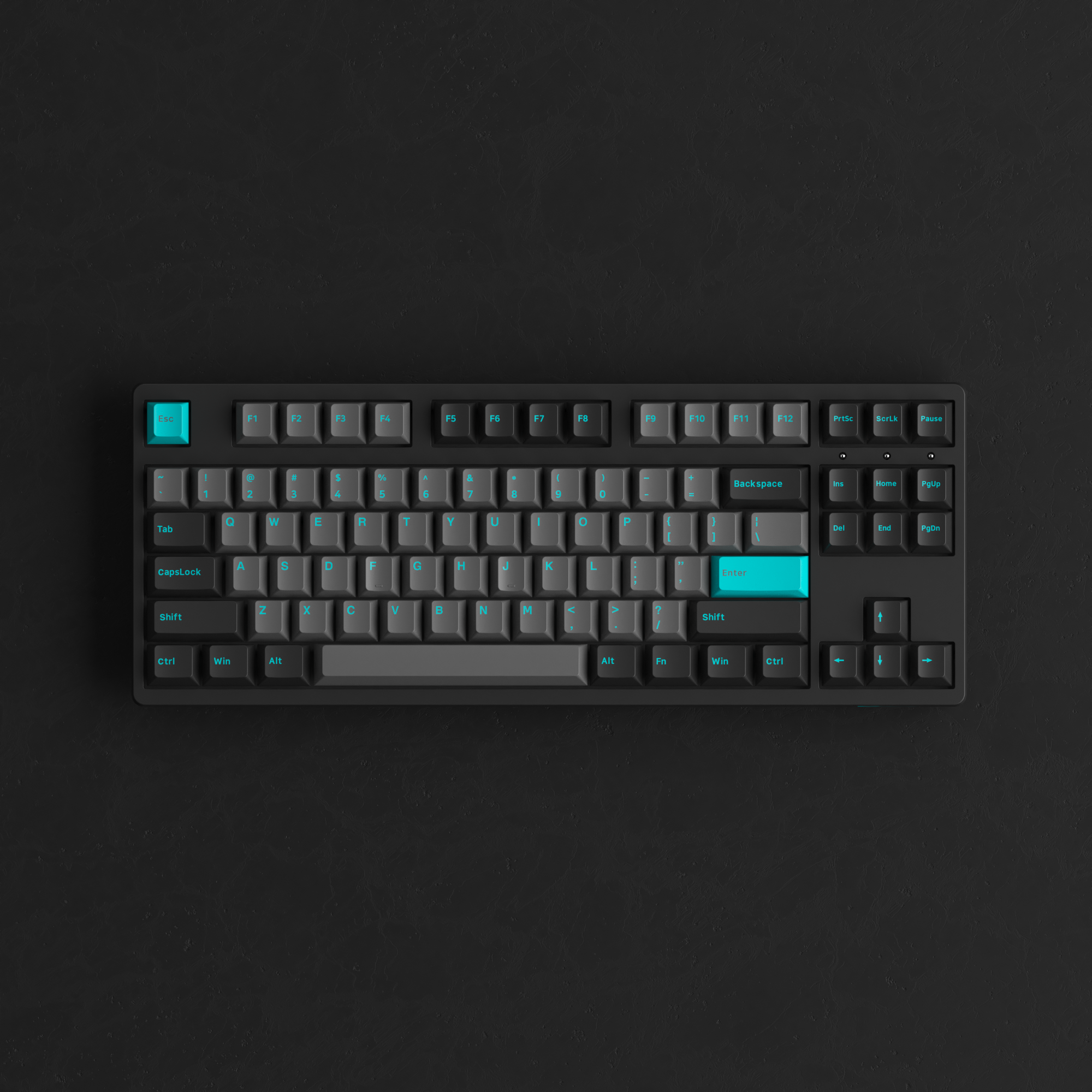 Black & Cyan 3087 Plus