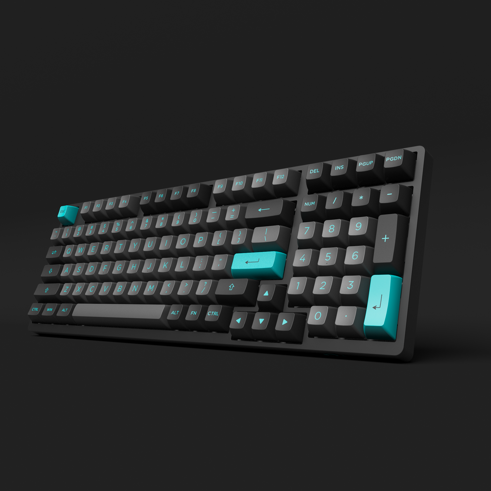 Black & Cyan 3098N