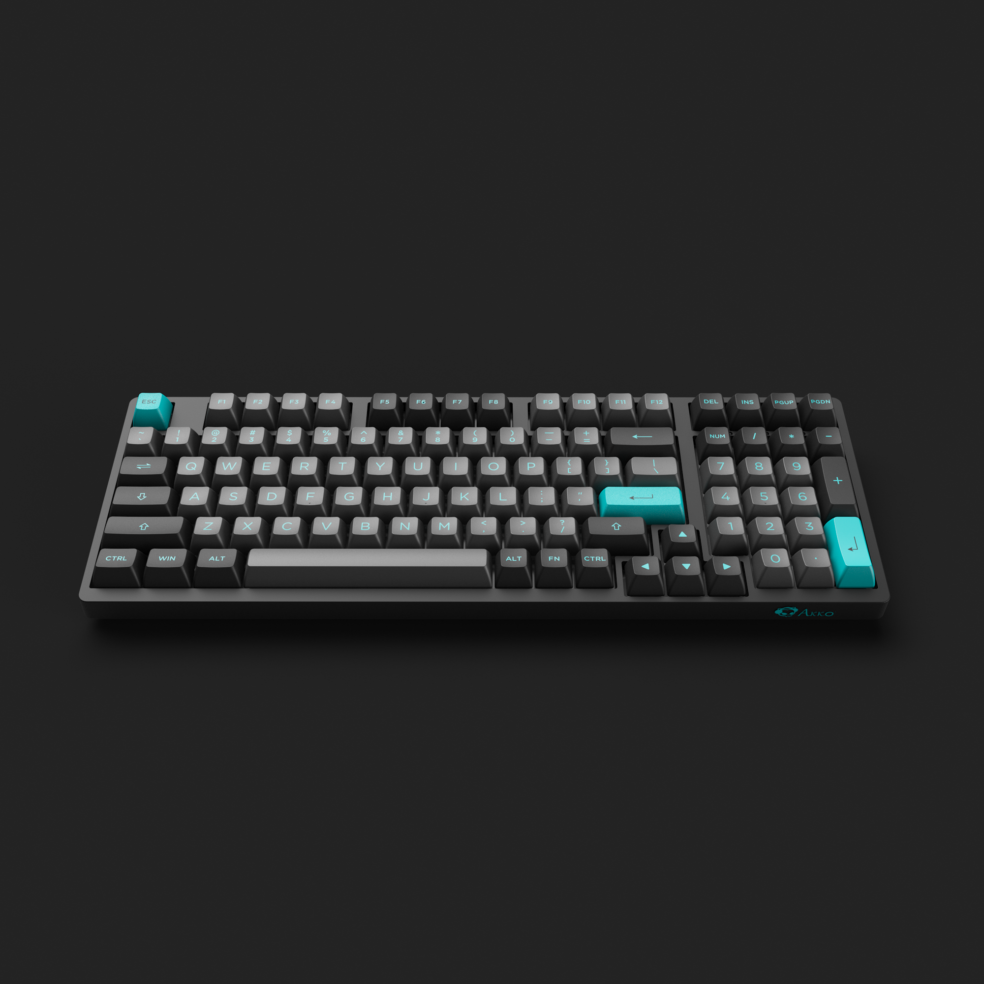 Black & Cyan 3098N