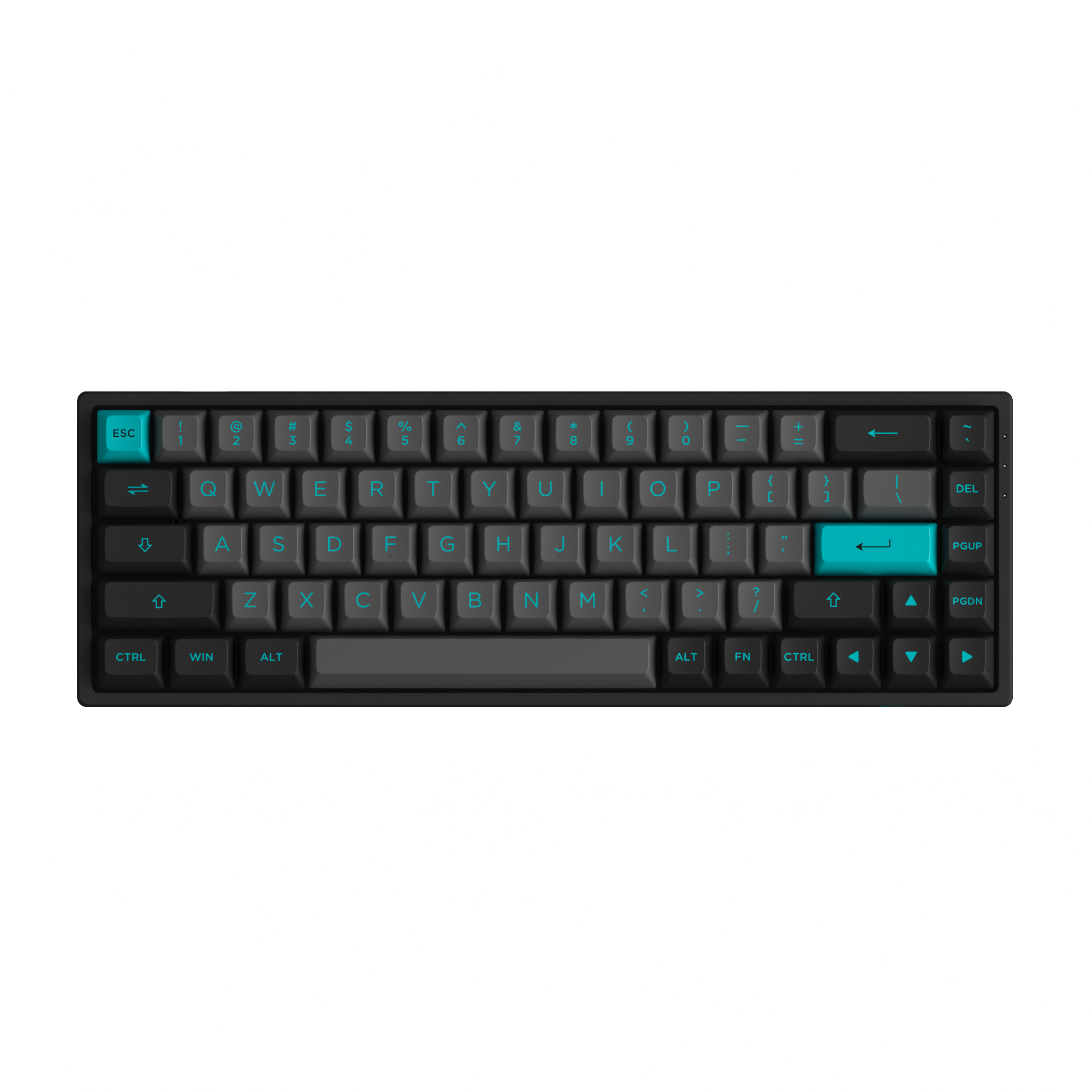 Black & Cyan 3068B Plus