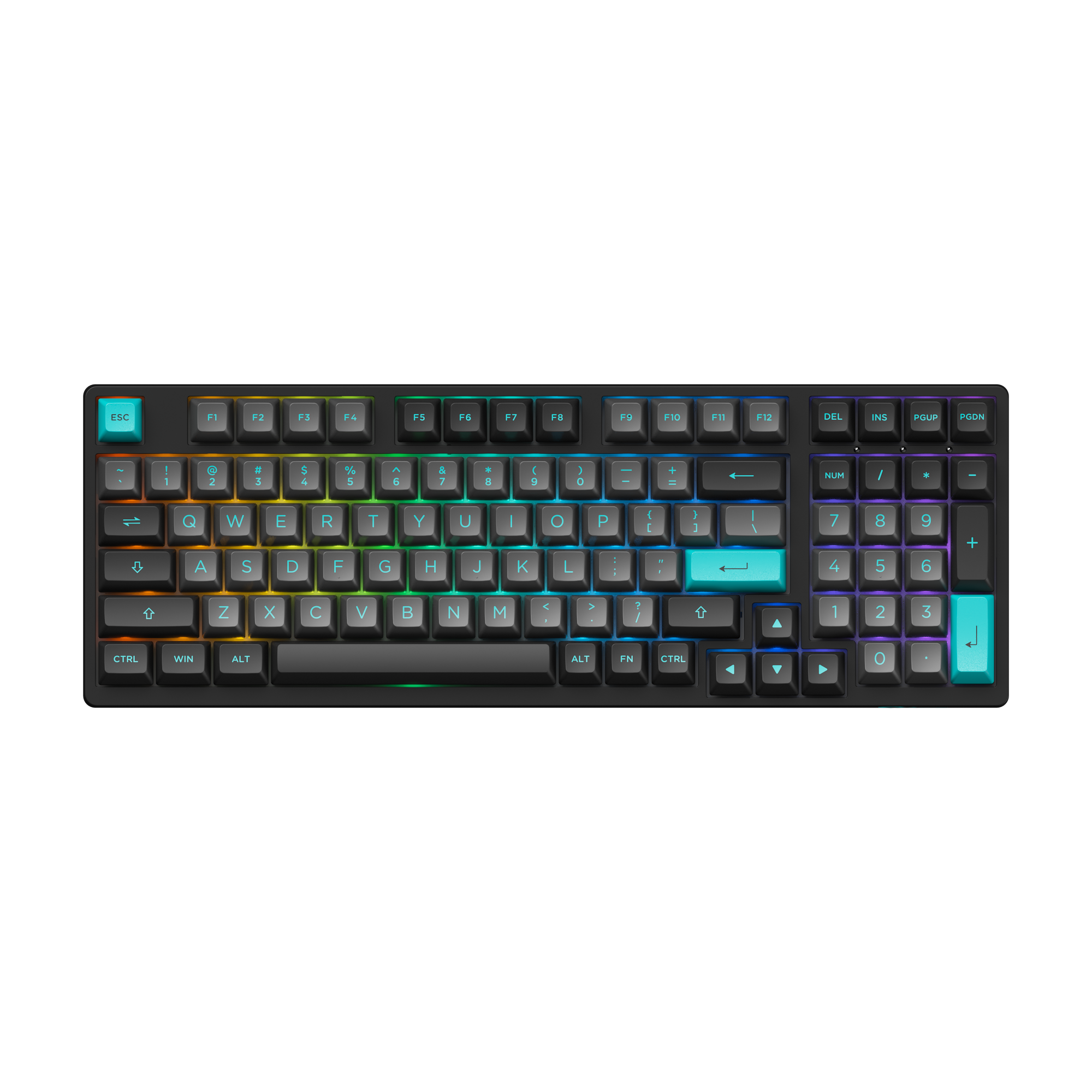 Black & Cyan 3098B Plus