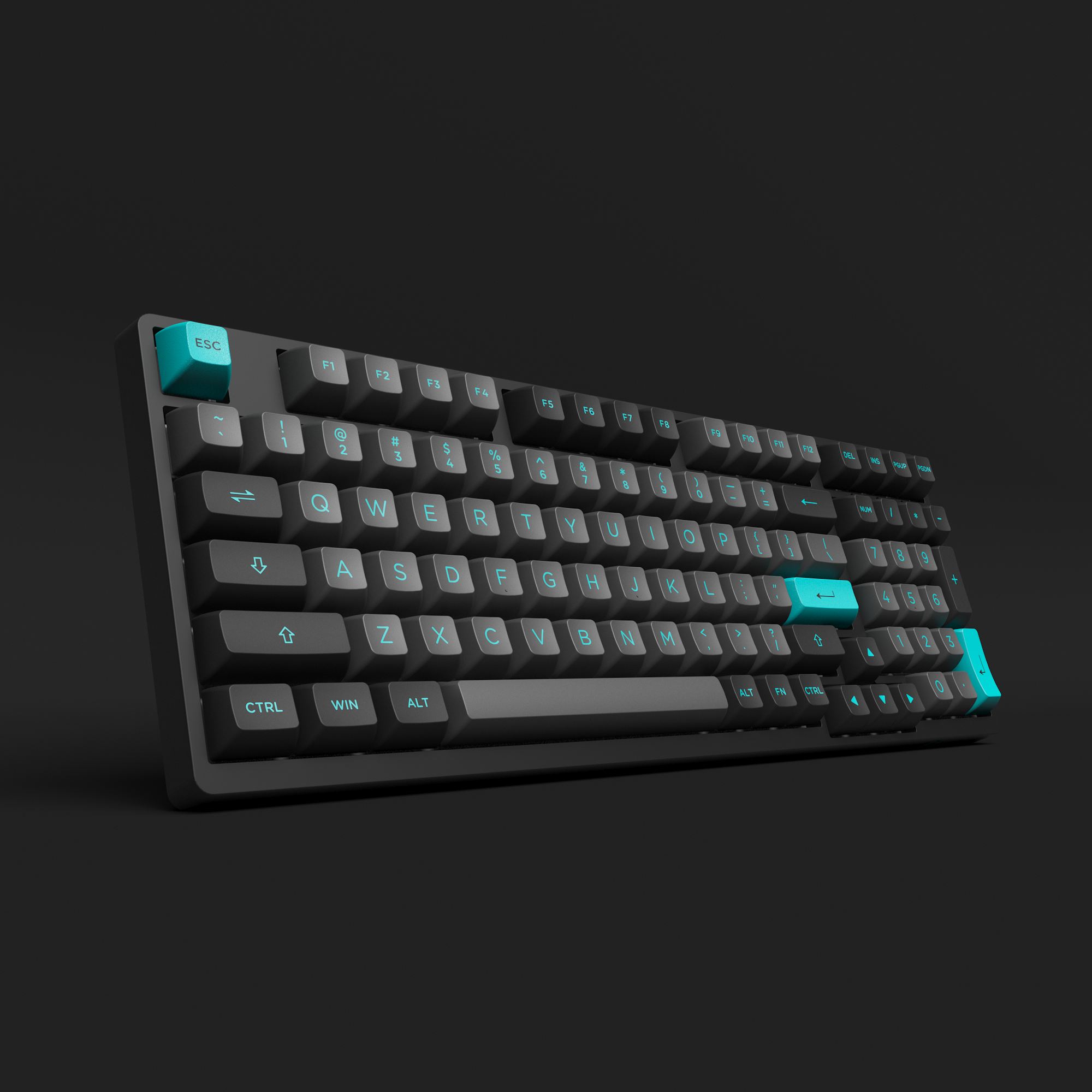 Black & Cyan 3098B Plus