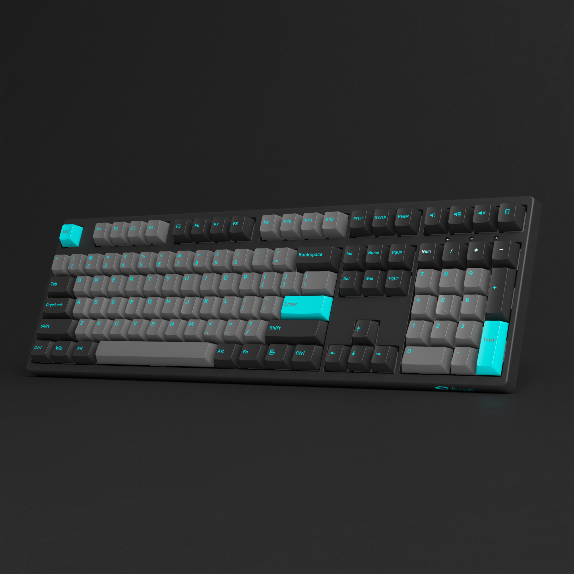 Black & Cyan 3108 Plus