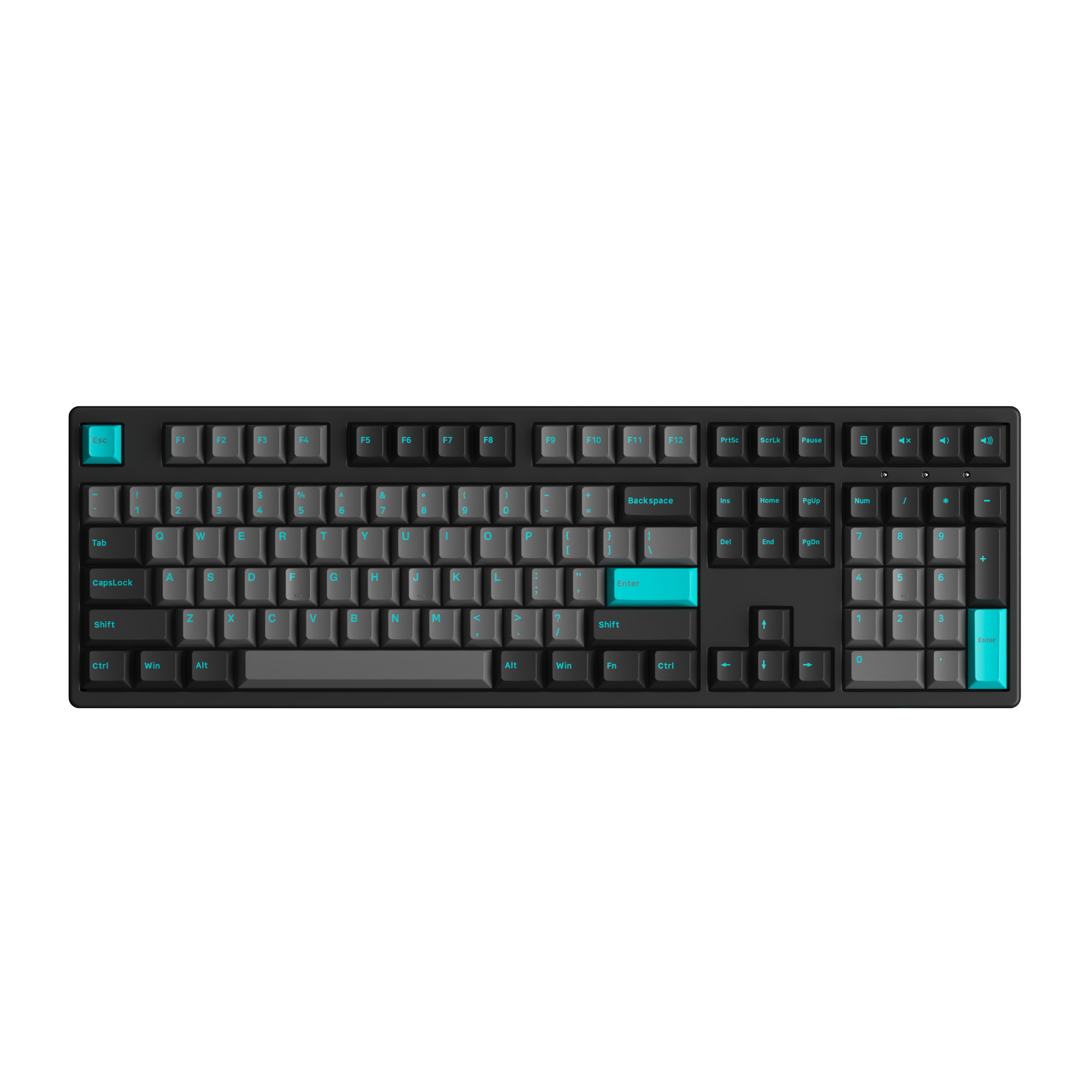 Black & Cyan 3108 Plus